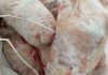 Jelang Nataru, Barantan Kendari Periksa 200 Kg Daging Kerbau