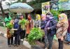 Sekcam Menteng Borong Kangkung