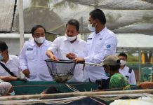 Awal 2021, Menteri Trenggono Panen Lele dan Udang di Karawang