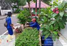 SDA Jakpus Kuras Saluran di Jalan Cempaka Putih Tengah SDA Jakpus Kuras Saluran Air di Cempaka Putih Tengah