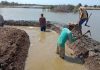 KKP Dorong PEN Melalui Program Padat Karya Irigasi Tambak