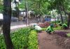 Sudin Pertamanan dan Hutan Kota Jakpus Membuat Taman di Rusun Apron Kemayoran