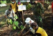 Hijaukan Lahan Kritis, Pemkab Tanah Bumbu Tanami 10 Ribu Bibit Ulin