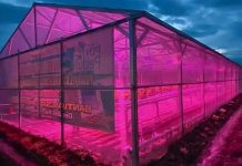 ESDM Apresiasi Inovasi PLN Kembangkan Lampu UV di Sektor Pertanian