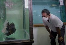 Dongkrak Ekspor, Menteri Trenggono Resmikan Pusat Ikan Hias di Bogor