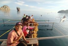 KKP Kembangkan Potensi Rumput Laut Asal Indonesia Timur