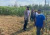 Pandemi, Kapolres Bintan cek Kampung Tangguh di Desa Toapaya Asri