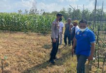 Pandemi, Kapolres Bintan cek Kampung Tangguh di Desa Toapaya Asri