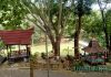 Wisata WBL Trenggalek, Ciptakan Lapangan Kerja Dan Perekonomian Warga