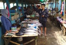 Nelayan Puger Jember Butuh Cold Storage