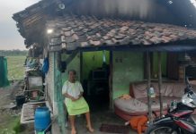 Carut Marut Penyaluran BLT-DD Desa Wonokarang, Kades Minta Kasi Kesra Serahkan Daftar Penerima