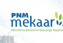 Kinerja Gemilang, Pemerintah Optimistis UMi Perkuat Ekonomi PNM Mekaar