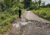Kurangnya Perhatian Pemerintah, Begini Kondisi Jalan Penghubung Tiga Desa Di Pasuruan