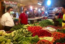 Kementan Perpanjang Free Ongkir Pasar Mitra Tani