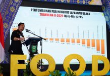 Genjot Kedaulatan Pangan, SYL Resmikan Food Estate di Sumsel