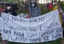 Advokasi Dituding Bermuatan Politis, Petani Plasma Tolak Denny Indrayana