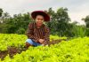 Gelar Pelatihan Sejuta Petani, Stafsus Jokowi Apresiasi Kementan