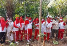 TP PKK Jakpus Panen Ikan dan Sayuran di 37 Titik Urban Farming