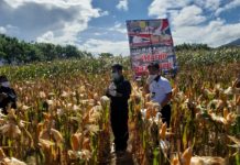 Kompak, Mendag-Mentan Janji Selesaikan Masalah Peternak