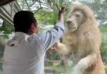 Bamsoet Apresiasi Penangkaran dan Pengembangbiakan Satwa Langka