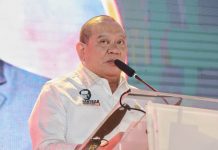 DPD Dorong IDI Persiapkan Roadmap Ketahanan Nasional Kesehatan