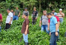Jadi Tumpuan Hidup, Senator BAN Liow: Indonesia Punya Hutan Tropis Terluas Didunia