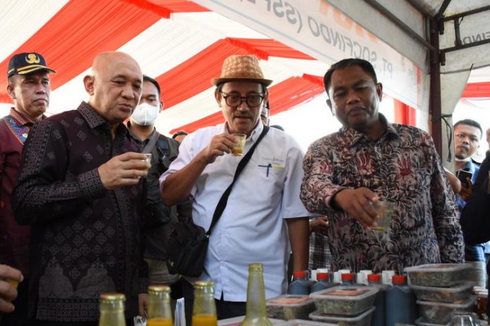 Bupati-Sergai-Tinjau-Lahan-Sawit