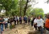 Peduli Lingkungan, DPD Tanam Mangrove di Kepulauan Seribu