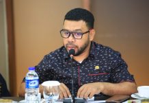 Senator Filep Harap Pemerintah Juga Buka Komunikasi dengan Pihak Kontra Pemekaran