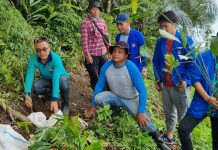 Senator Stefa Bersama Kelompok Tani Tanam Pohon di Gn. Tampusu