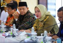 Senator Riri Minta Penerbangan Bengkulu ke Provinsi Tetangga Kembali Dibuka