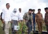 Serahkan Bibit Durian ke Warga, Bupati Tapsel Apresiasi Partai Gerindra