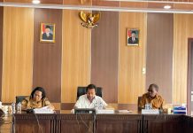 Kunker ke Mimika, Komite II Tinjau Pengelolaan Lingkungan Hidup pada Masa Pemilu