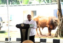 Peringati Idul Adha, Kesetjenan DPD Ajak Pentingnya Berbagi Kepada Sesama