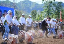 Tamsil Linrung Puji Pencapaian Mentan Angkat Derajat Pertanian Indonesia