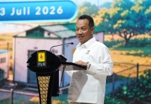 PLN Perkuat Kolaborasi Lintas Sektor untuk Implementasi Program Listrik Desa