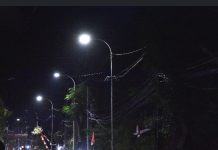 Pemkab Pasuruan Realisasikan 385 Titik LPJU Smart System di Ruas Bangil-Sukorejo