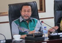 DPD Dukung Akselerasi Pembentukan DOB Papua Utara