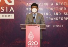 Indonesia Tunjukkan Komitmen Tata Kelola Data di DEWG G20 Jhonny G Plate