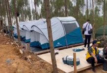 Jokowi akan Gelar Camping di Wilayah IKN, Irwan: Awas Kerobohan Pohon! Jokowi akan Camping di wilayah IKN