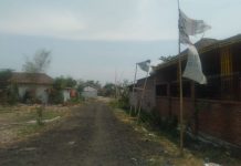 PT Gendis Regency Tunggak Pembayaran, Petani Pasuruan Meradang