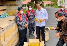 Lapor Presiden soal Jalan Rusak di Tanah Karo, Petani Bawa Jeruk 3 Ton