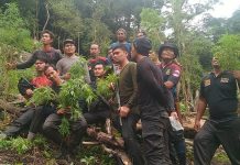 Ratakan Ladang Ganja 5 Ha di Ketambe, Polisi Jalan Kaki Lima Hari