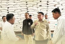 Azikin Solthan Tinjau Gudang Bulog, Pasokan Beras Sulsel Dinilai Stabil Anggota DPR, Azikin Solthan Tinjau Gudang Bulog di Sulsel Cek Ketersediaan Beras