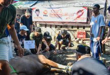 Anis Byarwati Tebar 1.500.000 Paket Qurban Idul Adha 1433 H