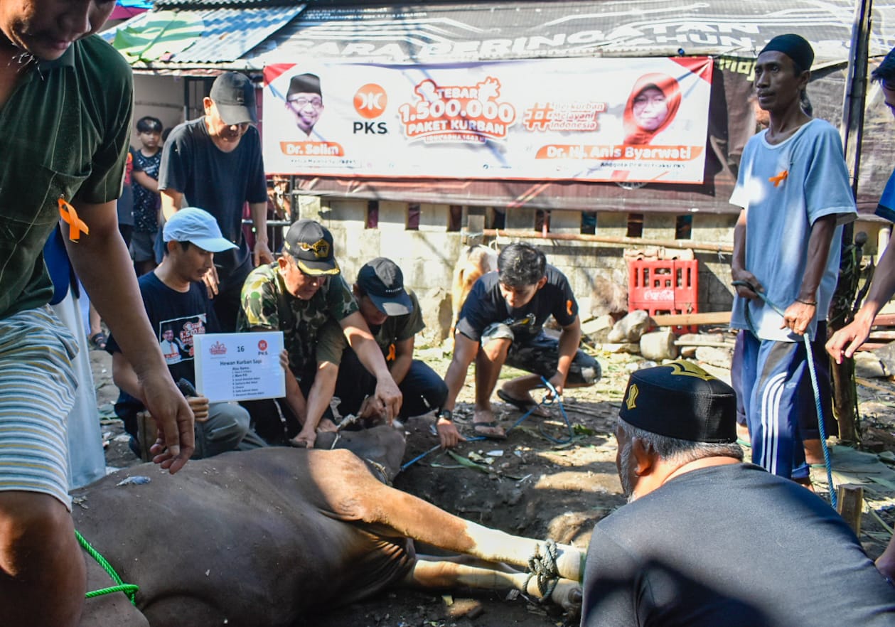 Anis Byarwati Tebar 1.500.000 Paket Qurban Idul Adha 1433 H